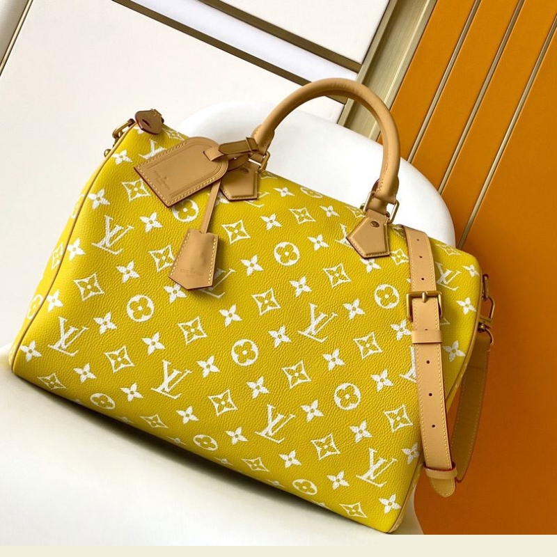 LV Travel Bags